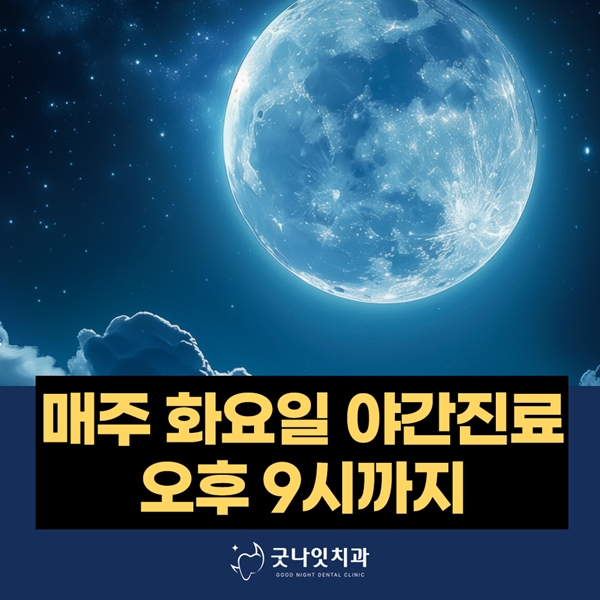 매주 화요일 야간진료 오후9시까지